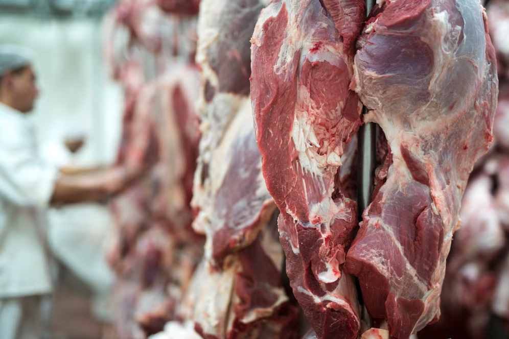 خرید و فروش گوشت منجمد برزیلی